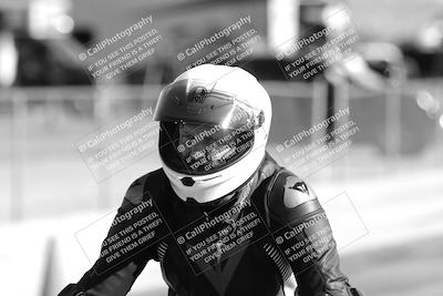media/Feb-23-2025-2WTD (Sun) [[9604a77d5d]]/1-Around the Pits/